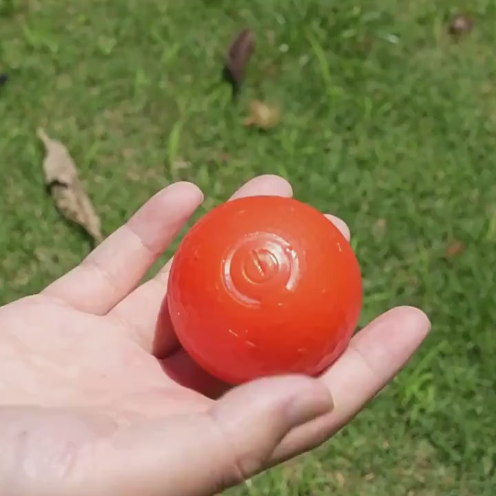 Video de la pelota saltarina interactiva para mascotas